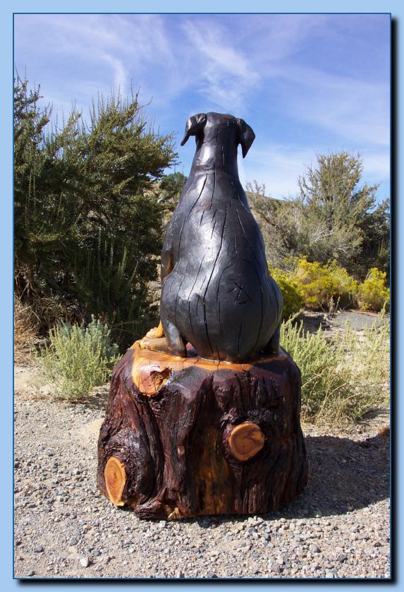 2-54 dog-rotwiler-archive-0004